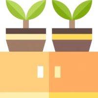 The Ultimate Checklist for Moving with Indoor Plants: Expert Tips